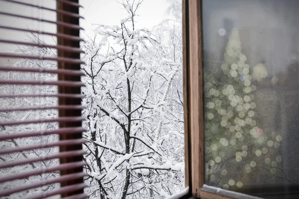 冬市でクリスマス ツリーのやり場のない背景と窓からの眺め ロイヤリティフリーのストック写真