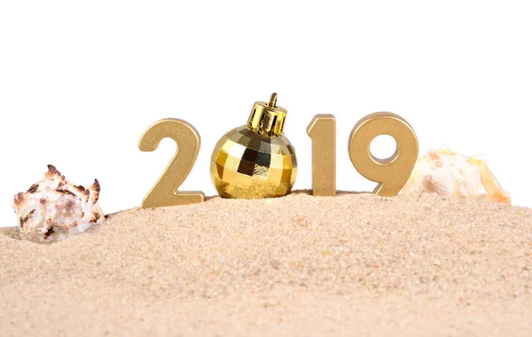 2019年金黄图与海贝壳在白色背景 免版税图库图片