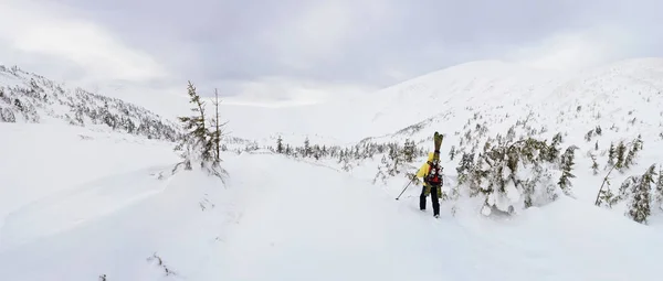 Alpine touring skier hiking in winter mountains. Carpathians, Ukraine.