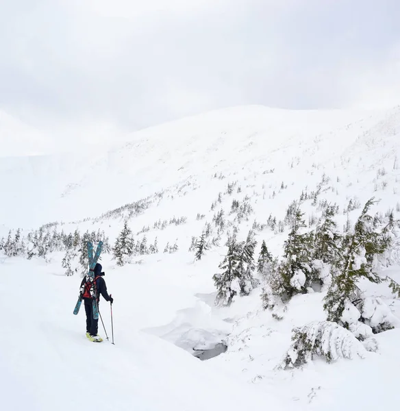 Narciarz Alpejski Turystyczny Górach Zimą Karpaty Ukraina — Zdjęcie stockowe