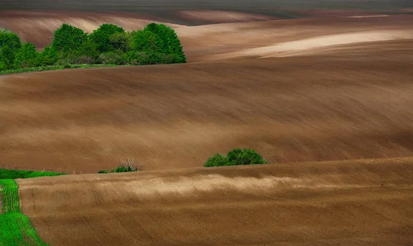 Bellissimo Paesaggio Estivo Polissya Ucraino Campo Collinare Ucraina Paese Europeo — Foto Stock