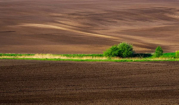 Piękne Lato Krajobraz Ukraińskiego Polesia Pagórkowaty Pól Ukraina Kraj Europejski — Zdjęcie stockowe