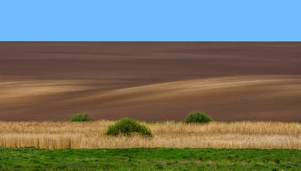 Wunderschöne Sommerlandschaft Der Ukrainischen Polissya Ein Hügeliges Feld Ukraine Europäisches — Stockfoto