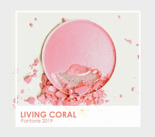 Living Coral Pantone 2019 Make Cosmetic Powder Brush — Stock Photo, Image