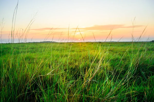 Amanecer Llano — Foto de Stock