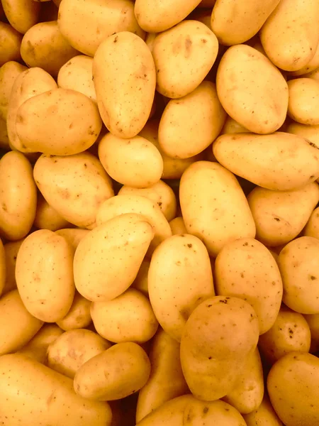 Birkaç patates sarı ve kahverengi ve dokulu arka plan oluşturma