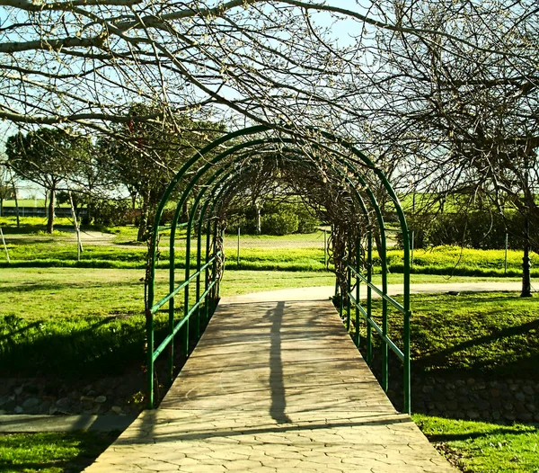 Puente Parque Cruzando Pequeño Río Con Estructura Metálica Verde Ramas — Foto de Stock