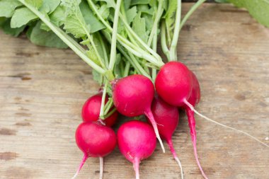 Taze turp sebze. Sağlıklı gıda. Uzay kopyalayın. yakın çekim