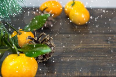 Mandalina meyve, Noel ağaç dalları ve koniler karda rustik bir arka plan üzerinde. Noel tatili