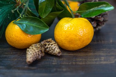 Mandalina meyve, Noel ağaç dalları ve koniler rustik bir arka plan üzerinde. Noel tatili