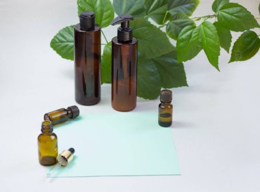 Koyu kozmetik şişeler ve açık bir arka plan üzerinde yeşil doğal yaprakları. Yeşil boş kart, yazmak için sayfa. Yazıt eklemek için düzen. Doğal çevre dostu kozmetik kavramı.