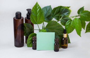 Koyu kozmetik şişeler ve açık bir arka plan üzerinde yeşil doğal yaprakları. Yeşil boş kart, yazmak için sayfa. Yazıt eklemek için düzen. Doğal çevre dostu kozmetik kavramı.