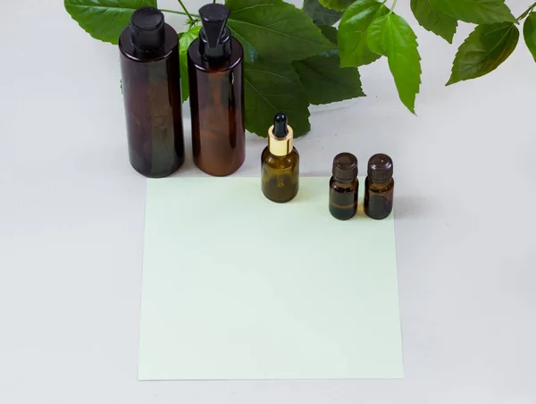 Dark cosmetic bottles and green natural leaves on a light background. Green empty card, sheet for writing. Layoutfor adding inscriptions. The concept of natural environmentally friendly cosmetics.