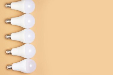 Enerji tasarrufu ampulleri. Ekoloji bakımı danışmanı.