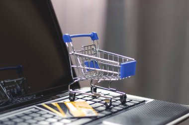 İnternetten alışveriş ve ev teslimatı. Dizüstü bilgisayarda alışveriş sepeti