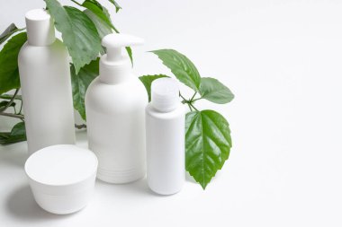 Yeşil yapraklı beyaz bir arka planda yüz ve vücut bakımı için organik kozmetik kutuları. Hafif arka planda krem, şampuan ve losyon. Düzen, kopyalama alanı.