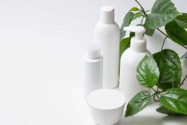 Yeşil yapraklı beyaz bir arka planda yüz ve vücut bakımı için organik kozmetik kutuları. Hafif arka planda krem, şampuan ve losyon. Düzen, kopyalama alanı.