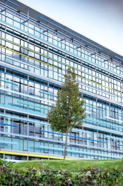 Yüksek doğmak modern ofis mavi pencere ile ön plan ağacında Binası.