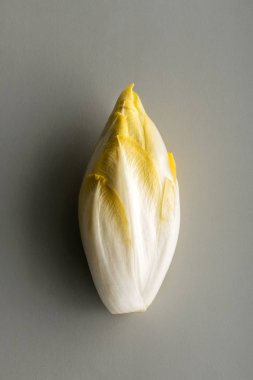 Bir parça taze Belçikalı Hindiba Salata yakın çekim yan gri arka plan yüzeyi üzerinde oturan üzerinden görüntülenen
