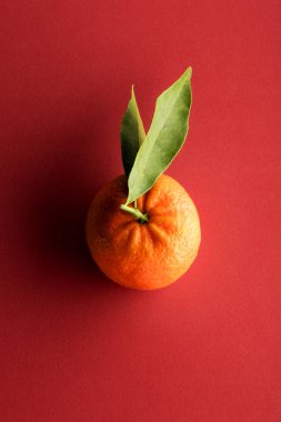 Mandarin portakal yaprak yeşil kırmızı arka plan ile yüksek açılı görünüş