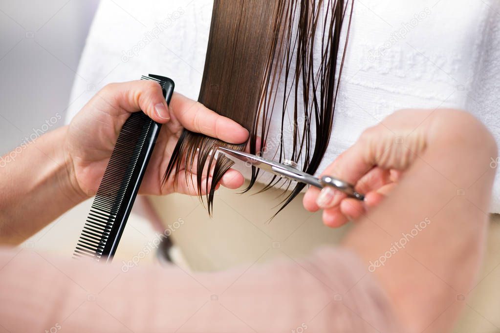 Professional hairstylist cutting hair ends of wet long brown hair with scissors and hairbrush in hands