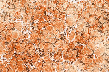 Kahverengi lekeler beyaz çizgiler ile karışık boya. Mermer doku etkisi. Tam çerçeve arka plan kavramı içinde yukarıdan izlendi