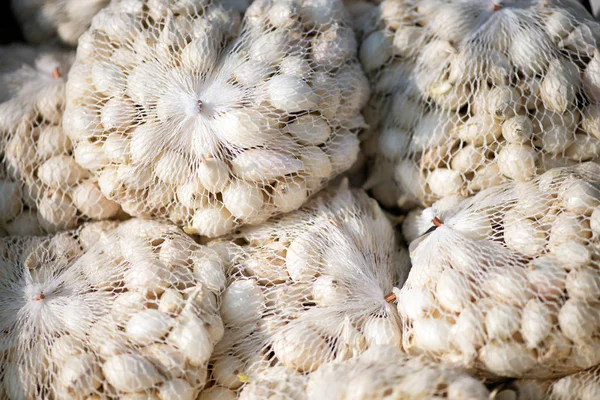 Kleine Plastiktüten Gefüllt Mit Weißem Zwiebelsaatgut Bereit Für Die Pflanzung — Stockfoto