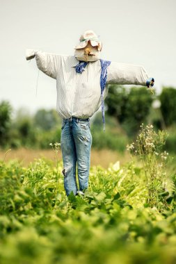 Eski mavi kot pantolon ve şapka gerçekçi korkuluk