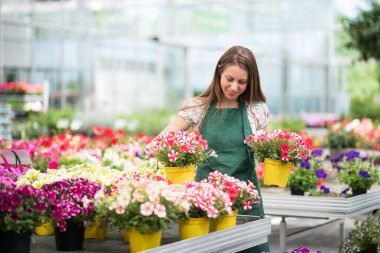 Bir kreşte genç işçi bitkileri paketledi