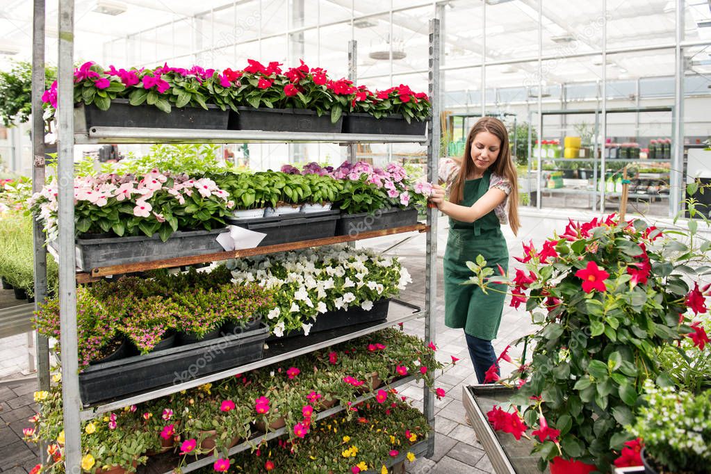 Young woman moving shelves of potted plants