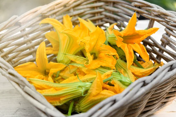 Rustic Wicker Basket Freshly Picked Orange Zucchini Flowers Market Table — Stock Photo, Image