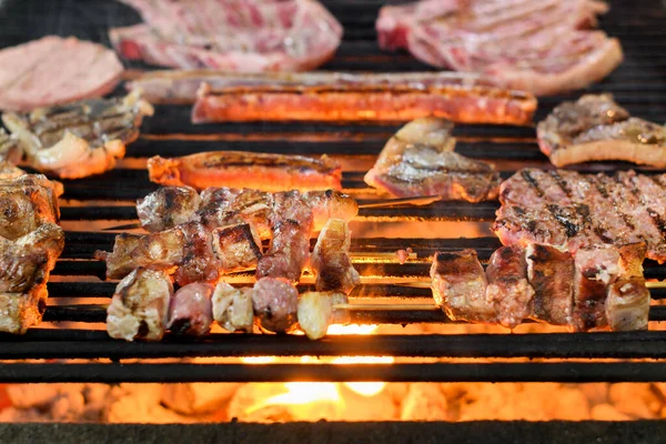 Μια Ποικιλία Από Φρέσκο Κρέας Ψησίματος Μια Φωτιά Μπάρμπεκιου Κοντινό — Φωτογραφία Αρχείου