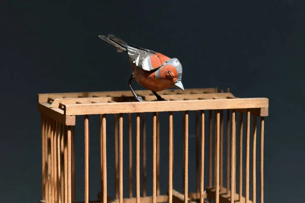 Ahşap Bir Kafesin Tepesine Tünemiş Renkli Eski Metal Demir Kuş — Stok fotoğraf