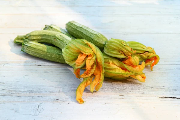 Primo Piano Fiori Zucchine Arancio Commestibili Attaccati Alle Zucchine Midolli — Foto Stock