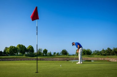 Golfçü güzel bir golf sahasında güneşli bir günde topu deliğe sokmaya konsantre oluyor.