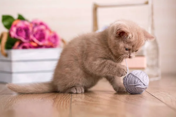 Gatito divertido se juega con un montón de hilos de punto —  Fotos de Stock