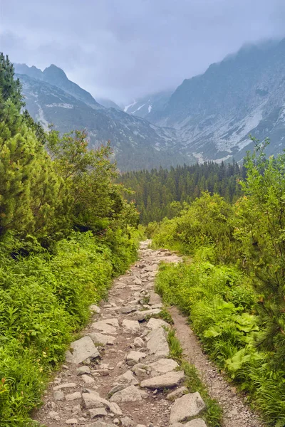 Gå till den höga Tatrabergen, Slovakien. Europa — Stockfoto