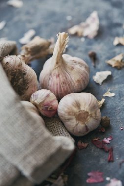 Gri bir arka plan bir torba içinde genç sarımsak