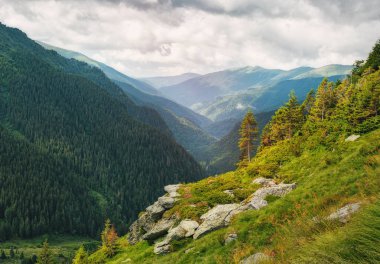 Dağ manzarası. Romanya'da Karpatlar. Kayalıklarla Transfagarasan yol yakın. Yüksek dağ zirveleri
