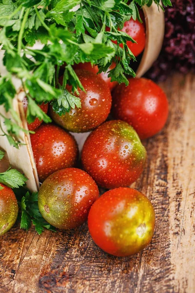 Composition with green-red tomatoes with salad and parsley — Stock Photo, Image