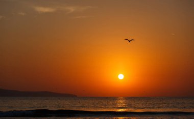 Okyanus üzerinde güzel gün batımı. Yaz manzarası.