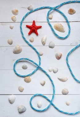 Mavi ahşap zemin üzerinde birçok farklı deniz kabuğu bulunan deniz ipi. Üst görünüm