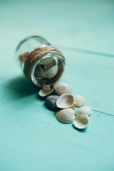 Sea Shells Sea Wooden Background Turquoise Color Selective Focus Close — Stock Photo, Image
