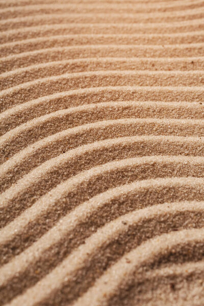 Golden wavy sand texture pattern structure, lit by morning sun. Sand dunes background. Clouse up.