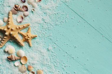 Deniz kabukları yaz arkaplanı. Birçok farklı deniz kabuğu, turkuaz ahşap bir arka planda deniz yıldızı. Metin için yer.