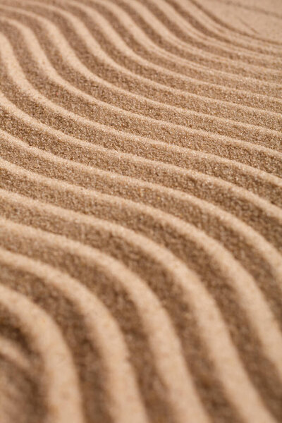 Wavy pattern on a beach in the summer. The textured surface of sand on the beach after a strong wind in the form of waves close up. Ribbed sand texture.