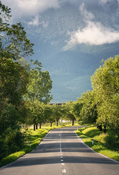 Camino Asfalto Vacío Las Montañas Árboles Verdes Ambos Lados Carretera —  Fotos de Stock