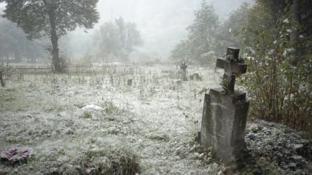 Снегопады Древней Гробнице Лесу — стоковое видео
