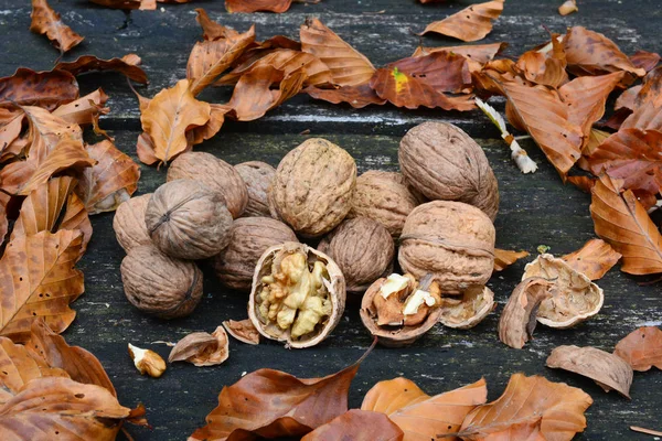 Oloupané Ořechy Viditelné Cernelu Rozbité Shell Popředí Hromadu Vlašské Ořechy — Stock fotografie