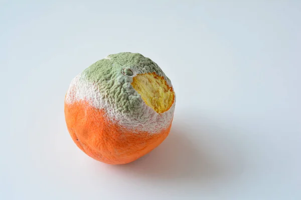 Penészes Narancssárga Sérült Kéreg Kiterjed Fehér Zöld Penész Fehér Háttér — Stock Fotó